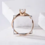 THE GEOMETRIC RING