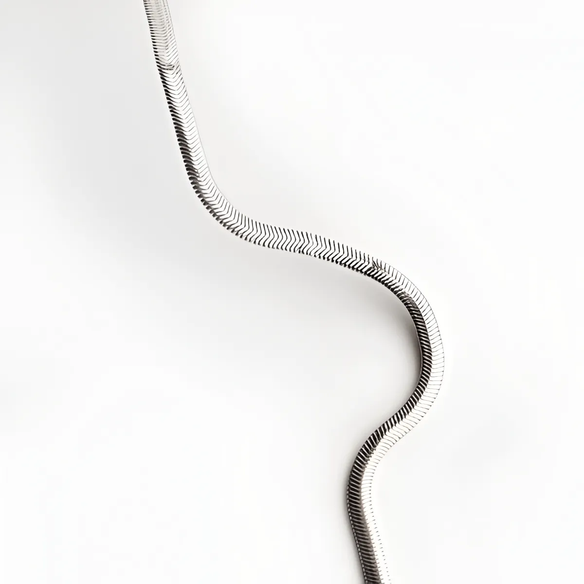 snake chain - Image 2